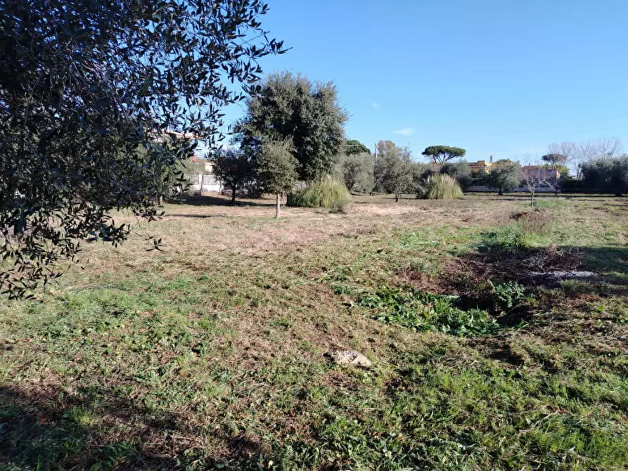 Immagine 1 di Terreno in vendita  in VIA AMILCARE CIPRIANI a Anzio