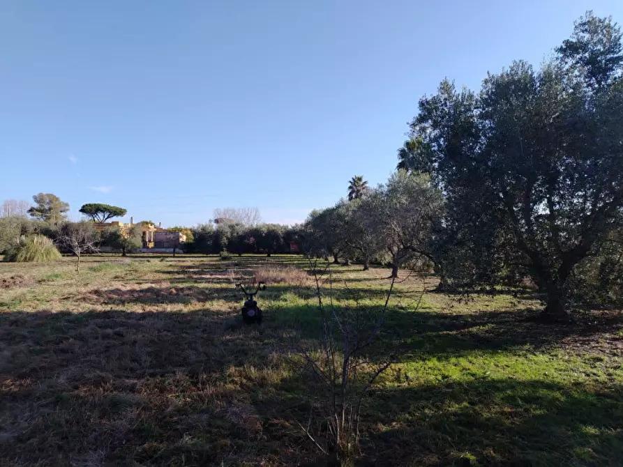 Immagine 2 di Terreno in vendita  in VIA AMILCARE CIPRIANI a Anzio