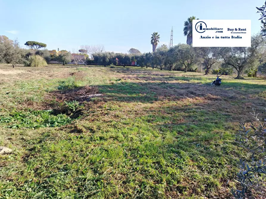 Immagine 4 di Terreno in vendita  in VIA AMILCARE CIPRIANI a Anzio