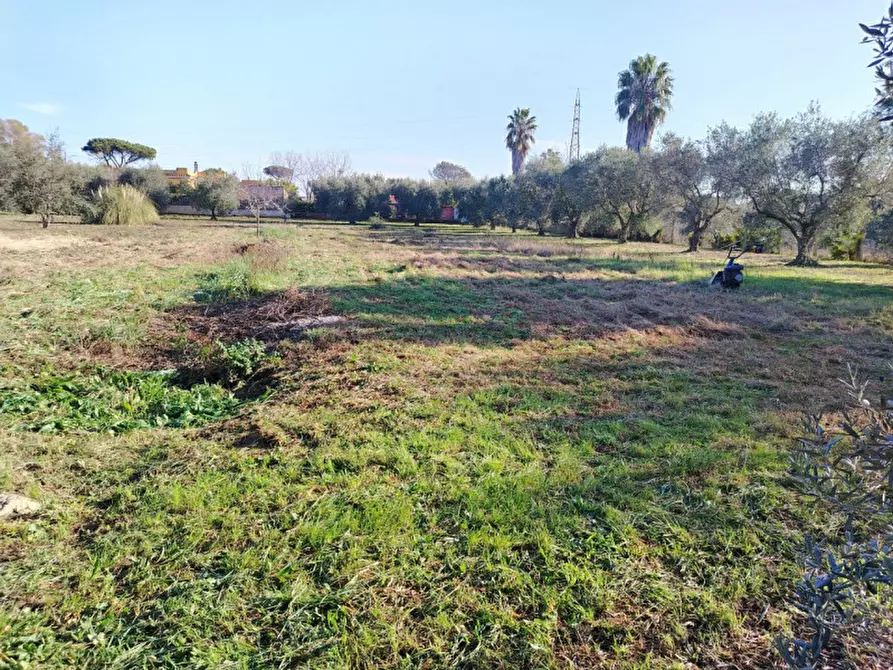 Immagine 4 di Terreno in vendita  in VIA AMILCARE CIPRIANI a Anzio