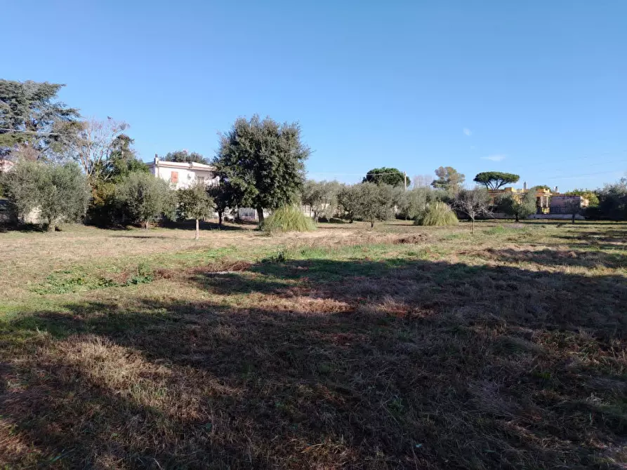 Immagine 9 di Terreno in vendita  in VIA AMILCARE CIPRIANI a Anzio