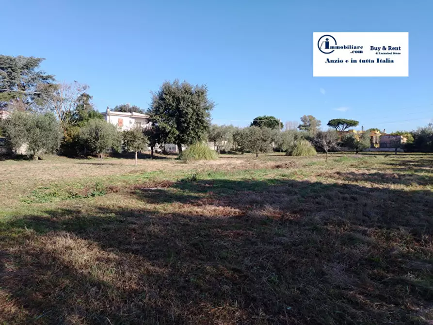 Immagine 9 di Terreno in vendita  in VIA AMILCARE CIPRIANI a Anzio