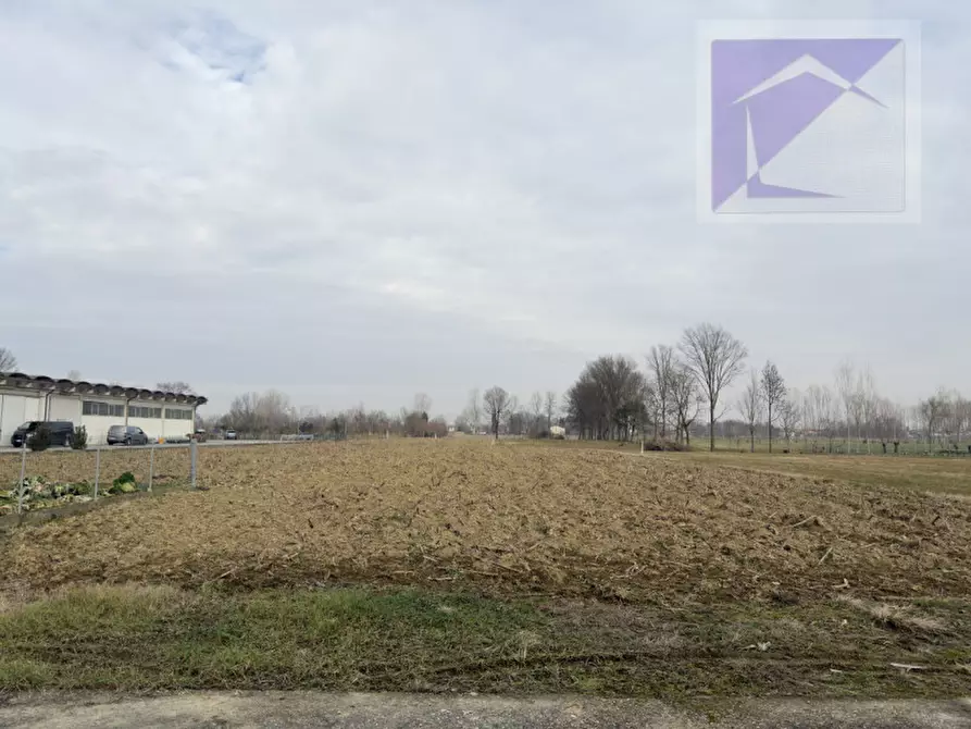 Immagine 6 di Casa bifamiliare in vendita  a Borgoricco