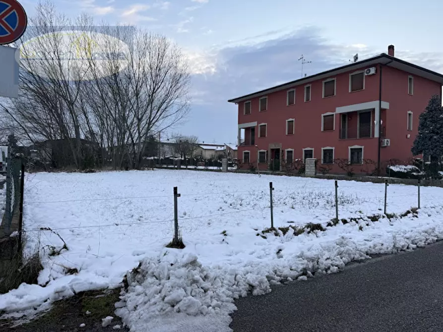 Immagine 2 di Terreno in vendita  in Via Montello a Molinella