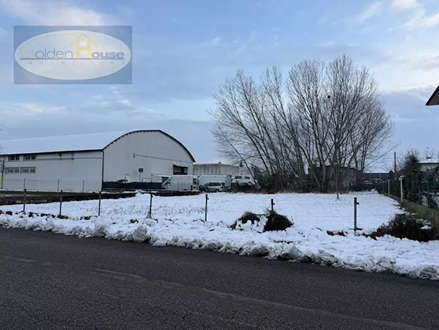 Immagine 4 di Terreno in vendita  in Via Montello a Molinella