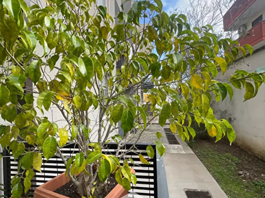 Immagine 21 di Appartamento in vendita  in via lecce,162 a Lizzanello