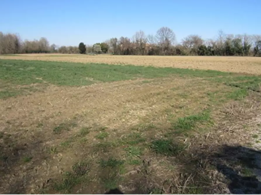 Immagine 2 di Terreno in vendita  in Via dei Rododendri a Venezia