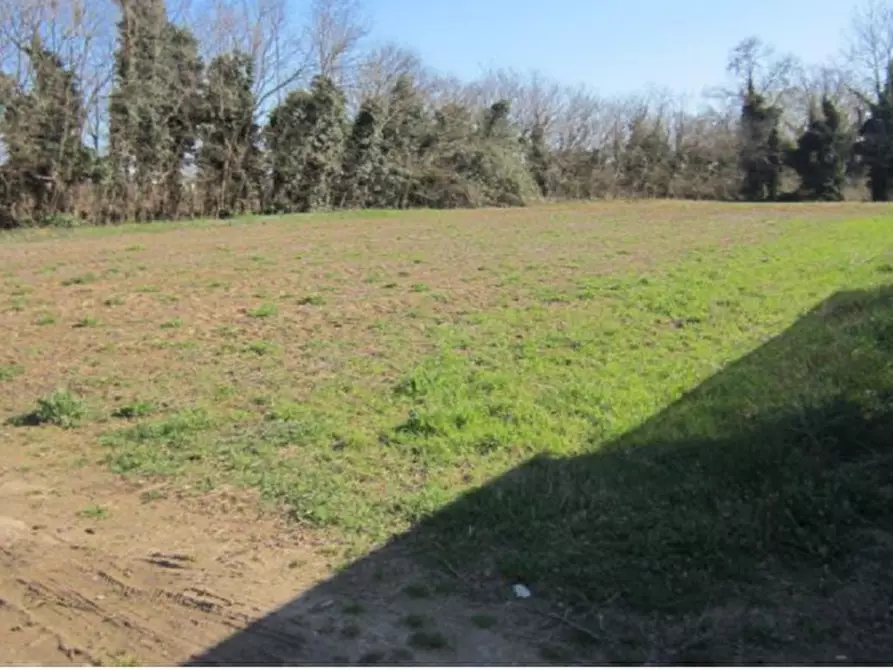 Immagine 3 di Terreno in vendita  in Via dei Rododendri a Venezia