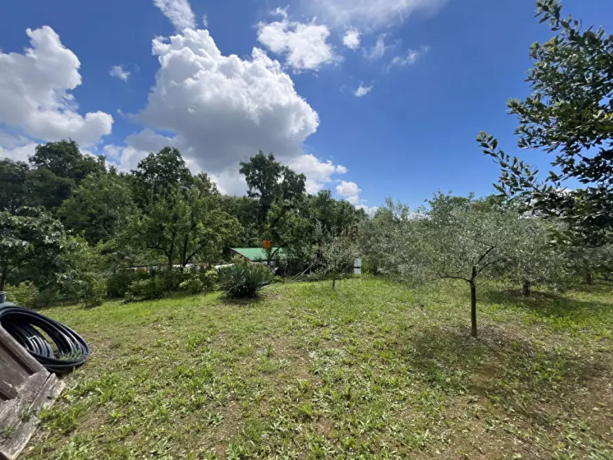 Immagine 29 di Casa indipendente in vendita  in Via Castellamonte 43 a Castelnuovo Nigra