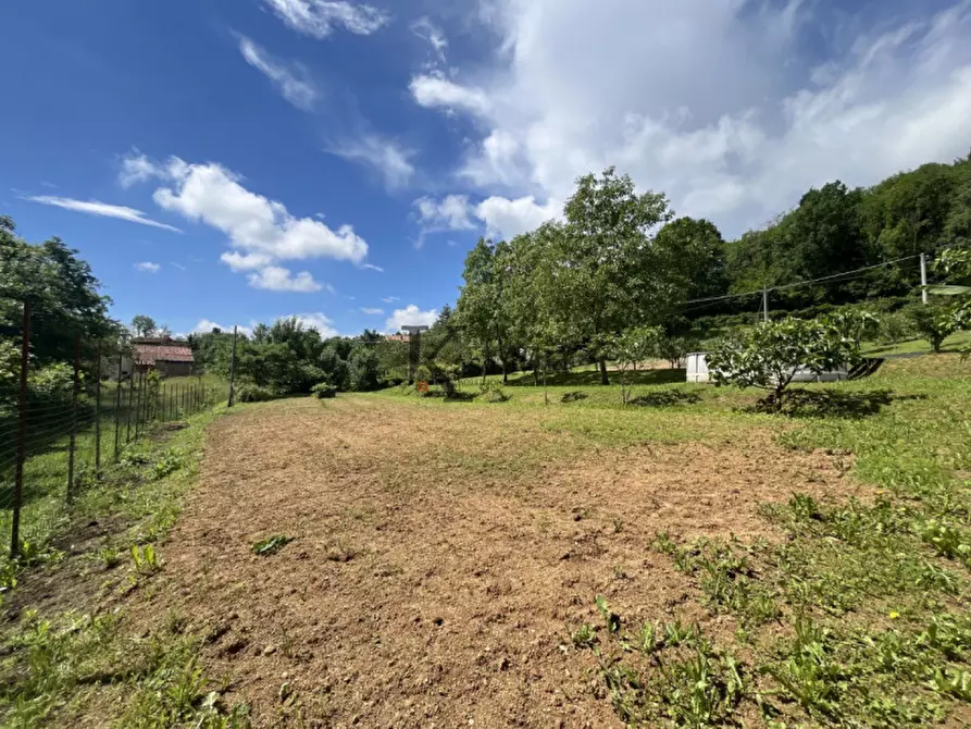 Immagine 34 di Casa indipendente in vendita  in Via Castellamonte 43 a Castelnuovo Nigra