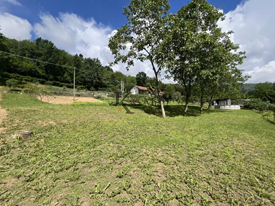 Immagine 35 di Casa indipendente in vendita  in Via Castellamonte 43 a Castelnuovo Nigra