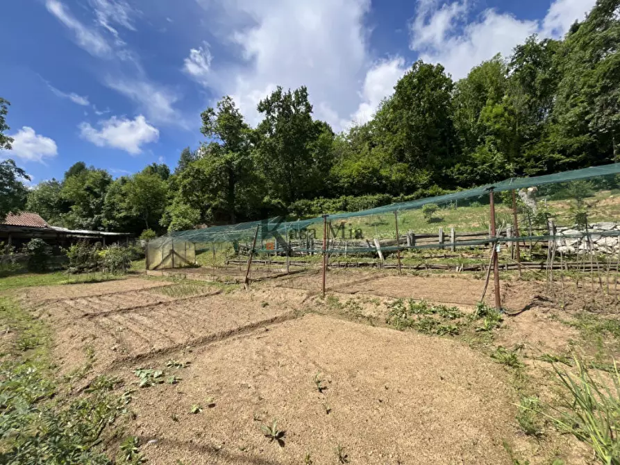 Immagine 37 di Casa indipendente in vendita  in Via Castellamonte 43 a Castelnuovo Nigra