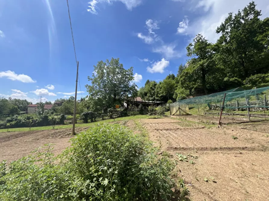 Immagine 38 di Casa indipendente in vendita  in Via Castellamonte 43 a Castelnuovo Nigra