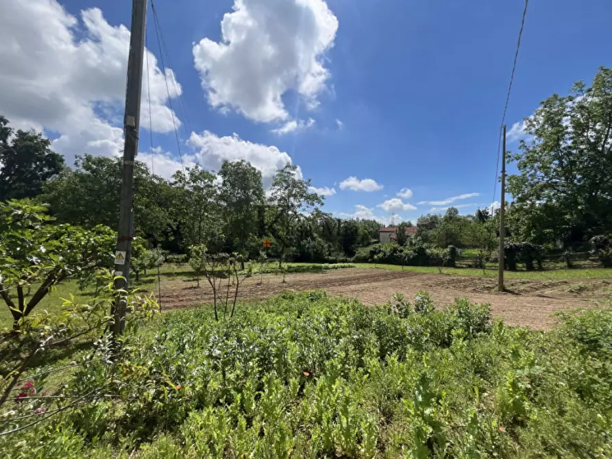 Immagine 39 di Casa indipendente in vendita  in Via Castellamonte 43 a Castelnuovo Nigra