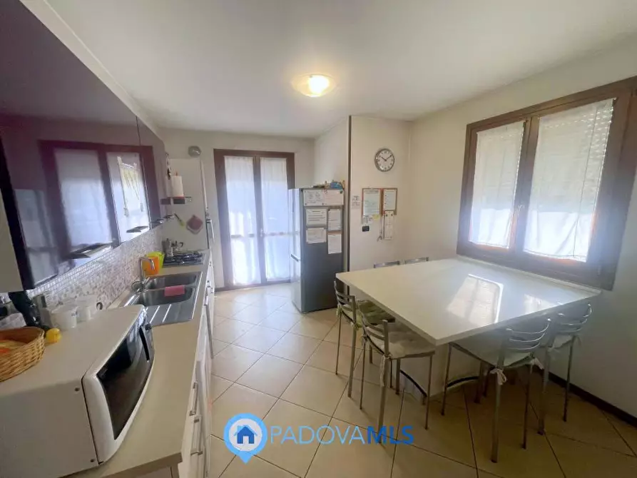 Immagine 3 di Casa quadrifamiliare in vendita  in Via Cappello a Noventa Padovana