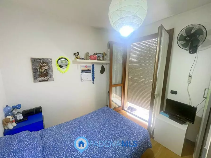 Immagine 7 di Casa quadrifamiliare in vendita  in Via Cappello a Noventa Padovana