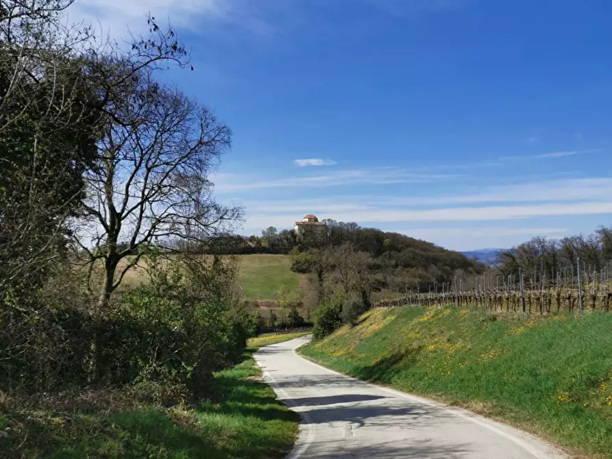 Immagine 1 di Villa in vendita  in Via Giulio Pontedera 1 a Lonigo