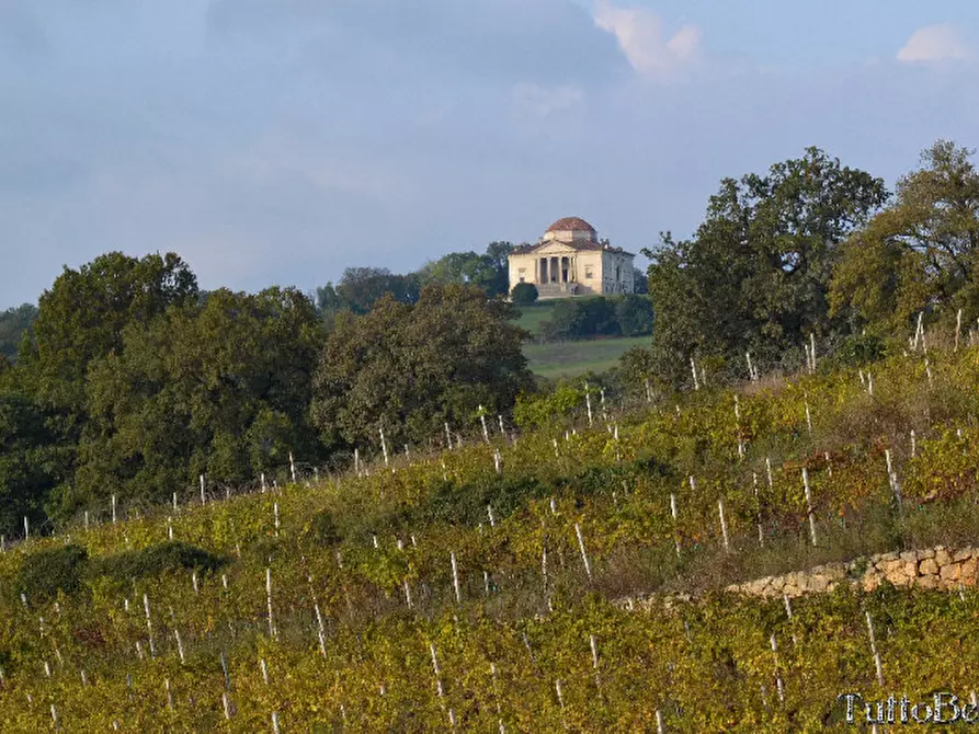 Immagine 4 di Villa in vendita  in Via Giulio Pontedera 1 a Lonigo