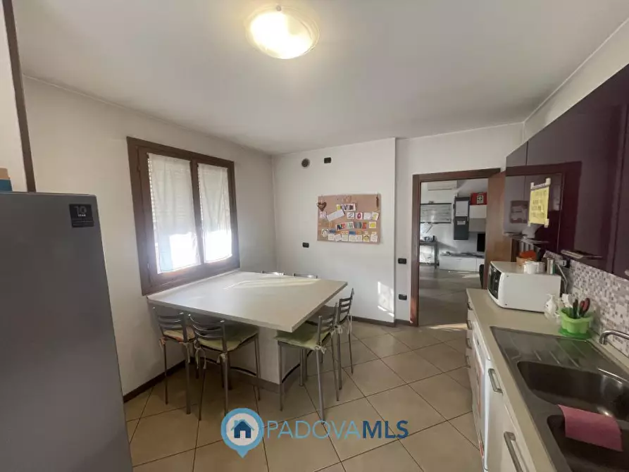 Immagine 4 di Casa quadrifamiliare in vendita  in Via Cappello a Noventa Padovana