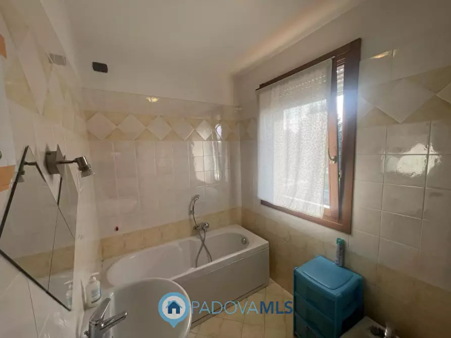 Immagine 10 di Casa quadrifamiliare in vendita  in Via Cappello a Noventa Padovana