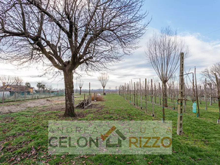 Immagine 10 di Villa in vendita  in Via Carrare, 6 a Agna