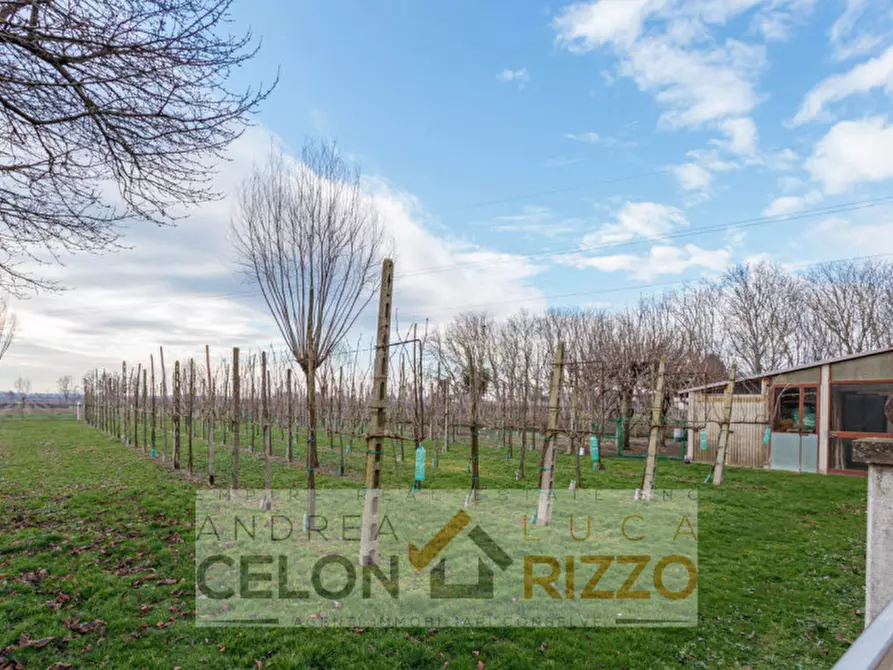 Immagine 11 di Villa in vendita  in Via Carrare, 6 a Agna