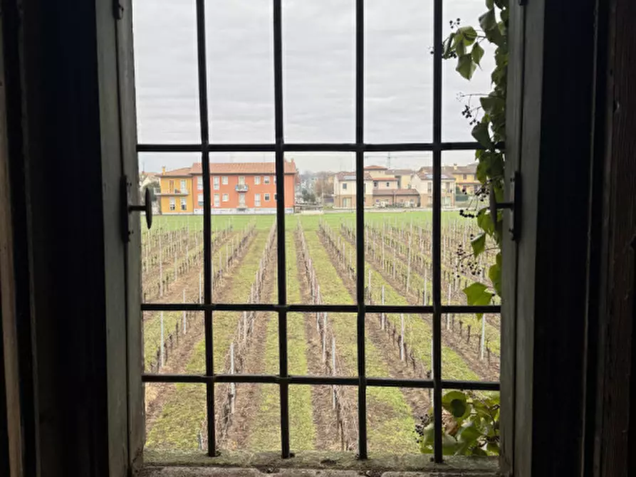 Immagine 15 di Rustico / casale in vendita  in Via Chiavica a Lonigo
