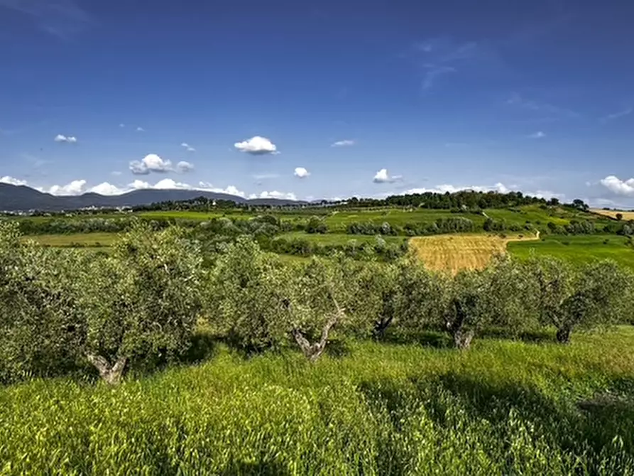 Immagine 30 di Villa in vendita  a Magliano Sabina