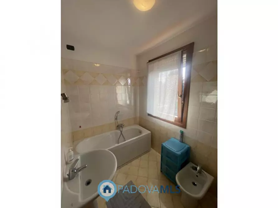 Immagine 20 di Casa quadrifamiliare in vendita  in Via Cappello a Noventa Padovana