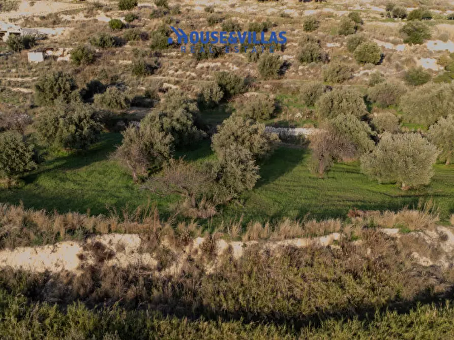 Immagine 4 di Terreno in vendita  in Sanghitello a Avola