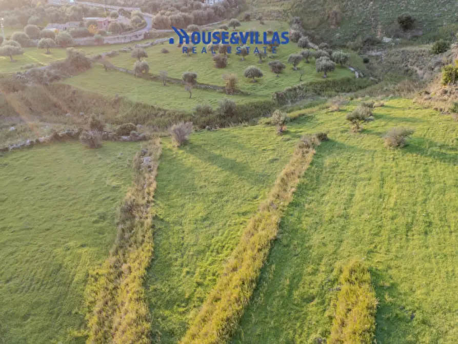 Immagine 6 di Terreno in vendita  in Sanghitello a Avola