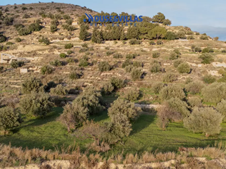 Immagine 8 di Terreno in vendita  in Sanghitello a Avola