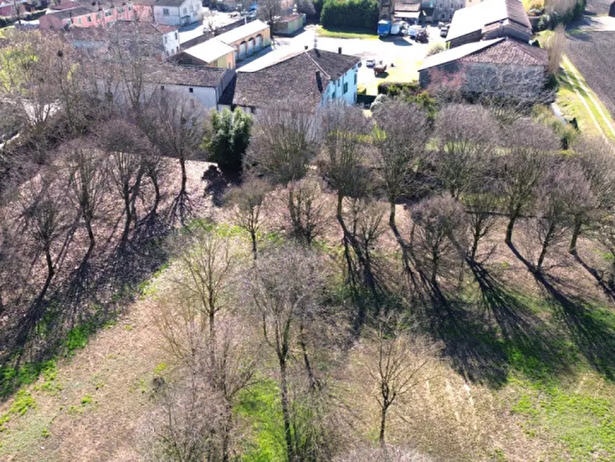 Immagine 5 di Rustico / casale in vendita  a Mozzecane