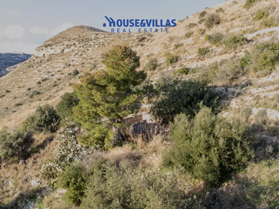 Immagine 11 di Villa in vendita  in sanghitello a Avola