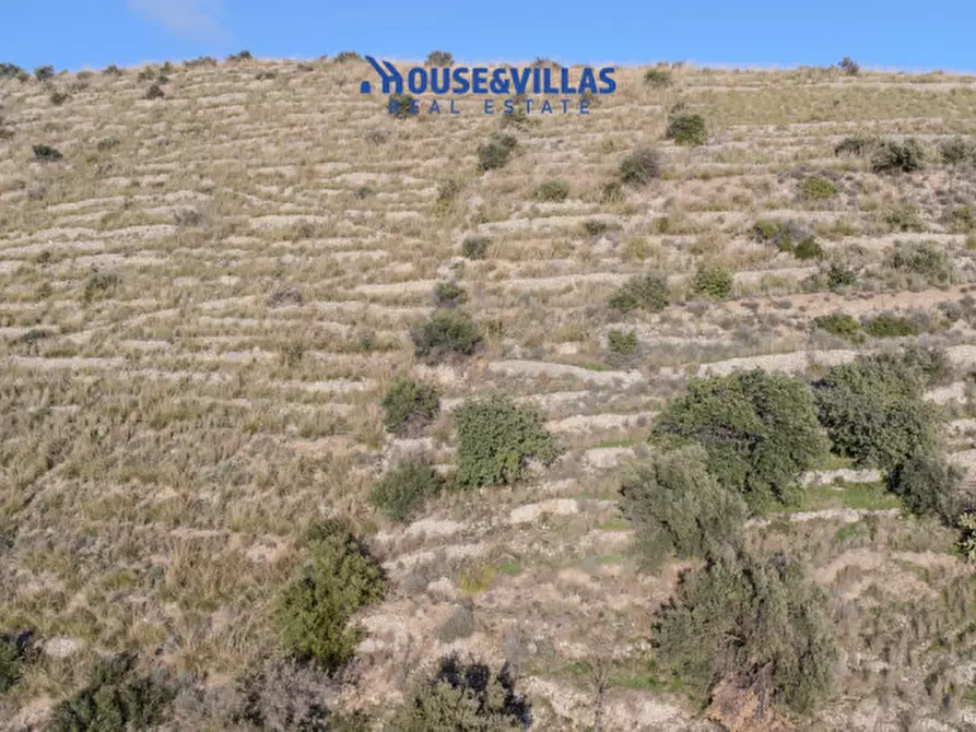Immagine 18 di Villa in vendita  in sanghitello a Avola