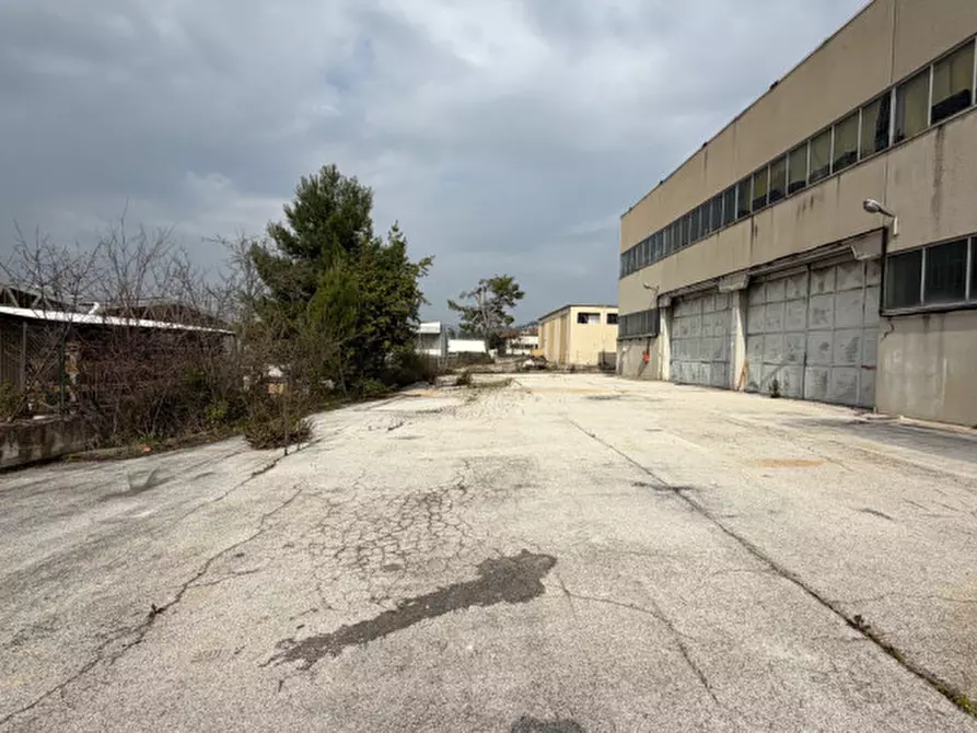 Immagine 16 di Capannone industriale in vendita  in VIA SACCO E VANZETTI a Ancona