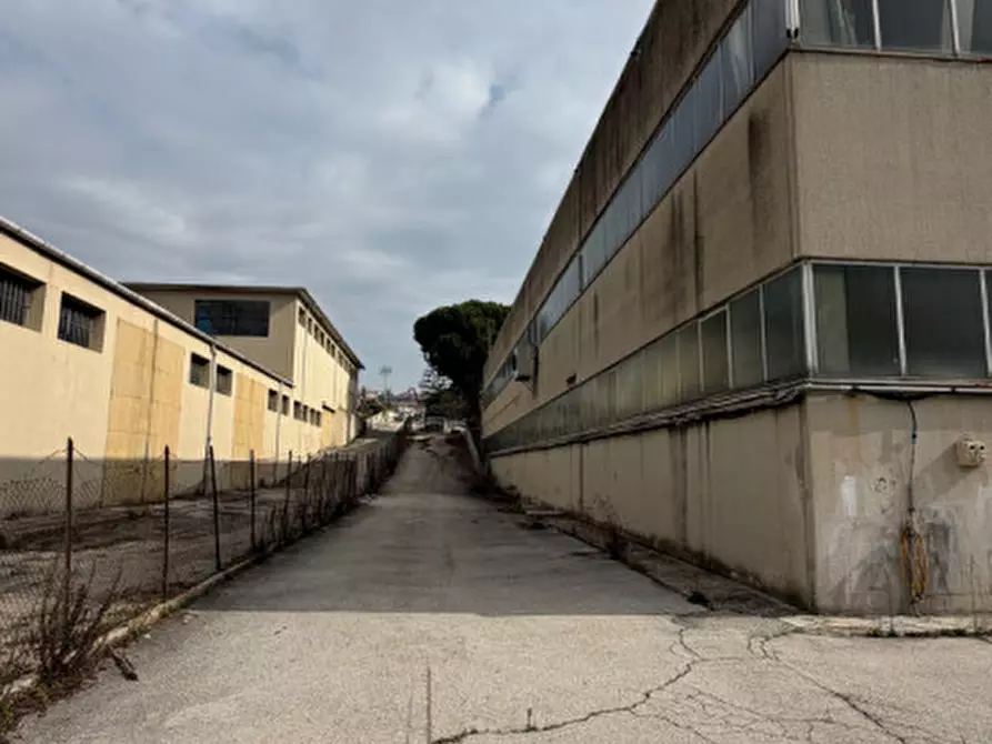 Immagine 17 di Capannone industriale in vendita  in VIA SACCO E VANZETTI a Ancona