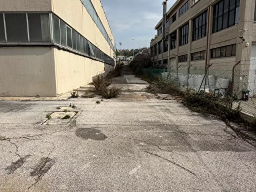 Immagine 18 di Capannone industriale in vendita  in VIA SACCO E VANZETTI a Ancona