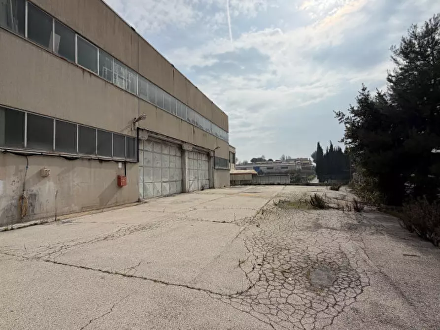 Immagine 19 di Capannone industriale in vendita  in VIA SACCO E VANZETTI a Ancona
