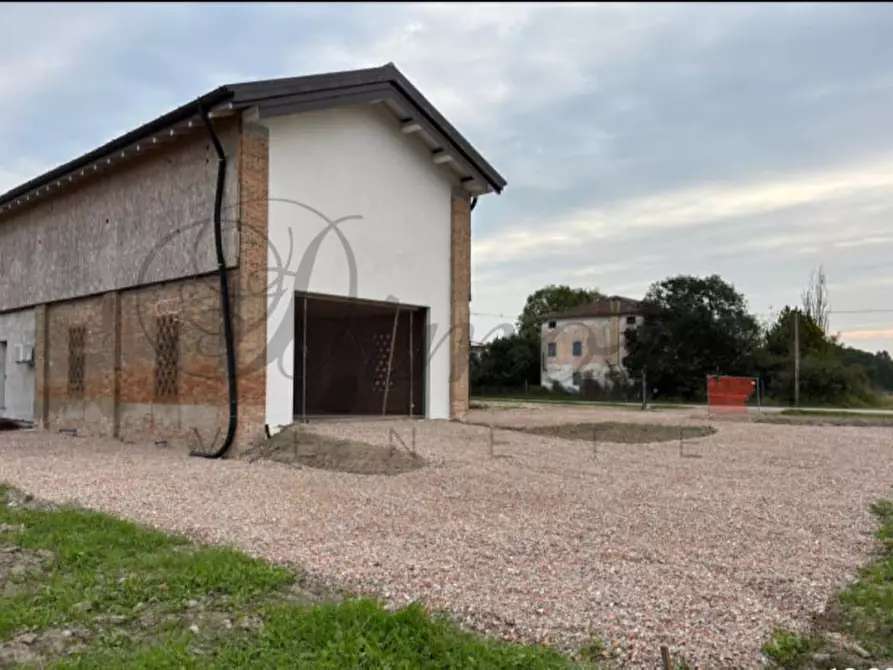 Immagine 4 di Rustico / casale in vendita  in CANDIANA a Candiana