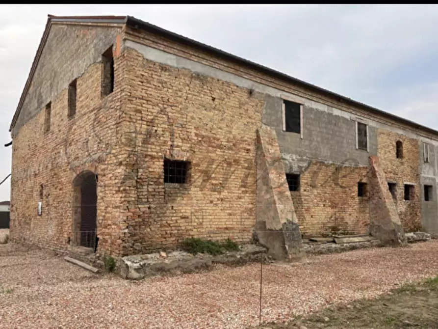 Immagine 5 di Rustico / casale in vendita  in CANDIANA a Candiana