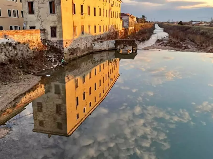 Immagine 4 di Appartamento in vendita  a Lonigo