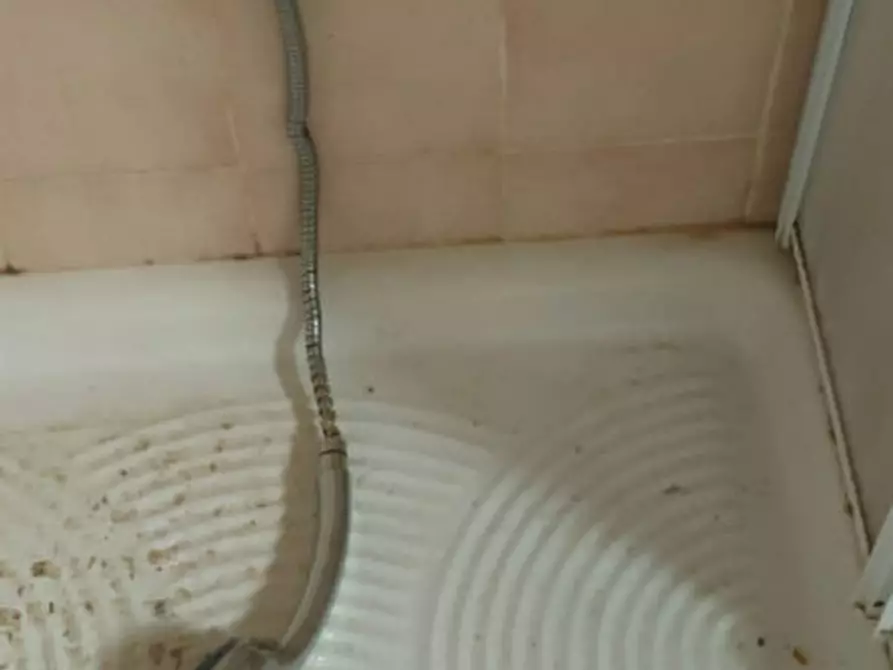 Immagine 9 di Appartamento in vendita  a Conselve