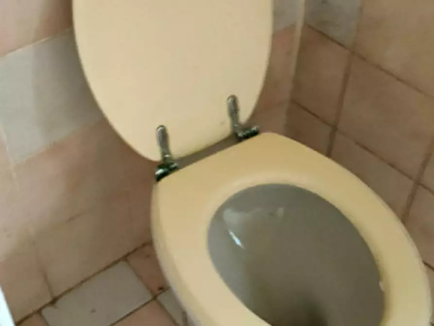 Immagine 10 di Appartamento in vendita  a Conselve