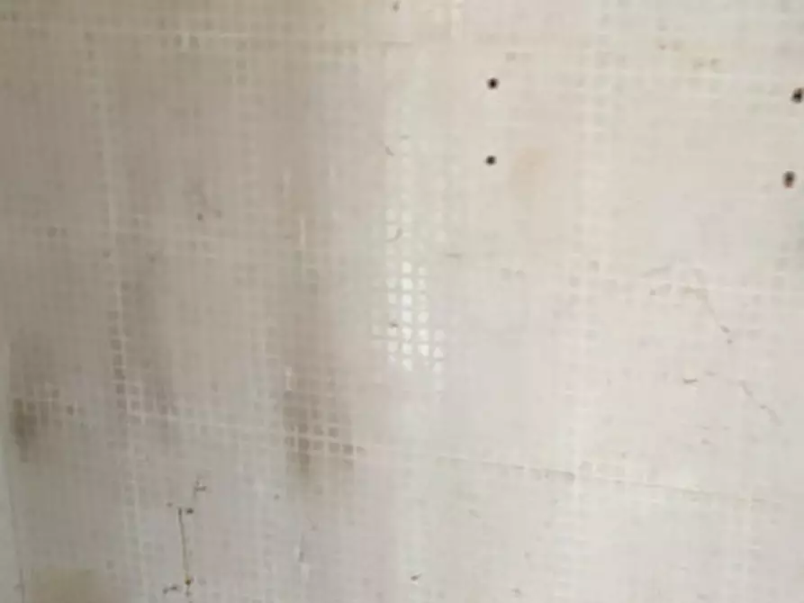 Immagine 14 di Appartamento in vendita  a Conselve