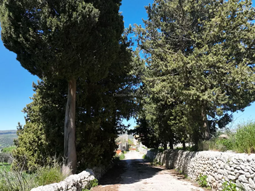 Immagine 21 di Villa in vendita  in SP 58 a Modica