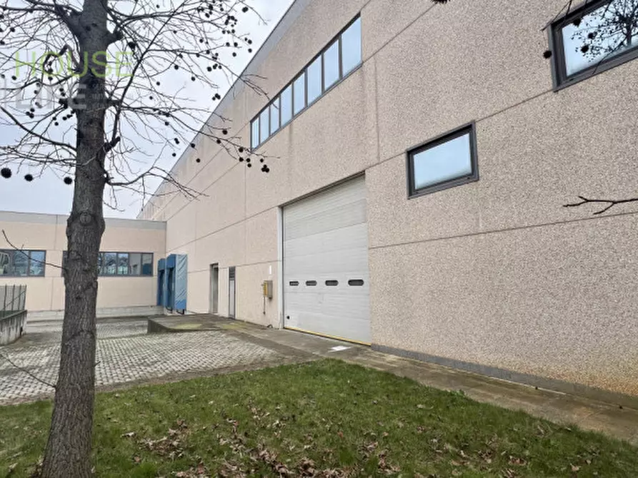 Immagine 6 di Capannone industriale in vendita  in Via dell'agricoltura 29 a Minerbe