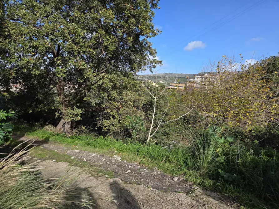 Immagine 3 di Terreno in vendita  in medina a Reggio Di Calabria