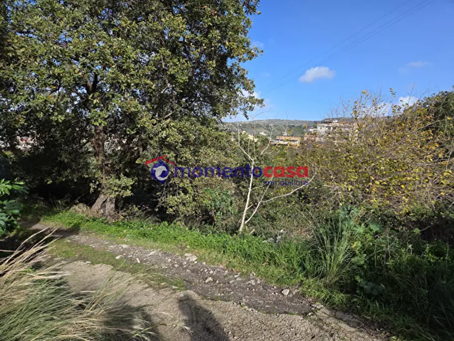 Immagine 3 di Terreno in vendita  in medina a Reggio Di Calabria