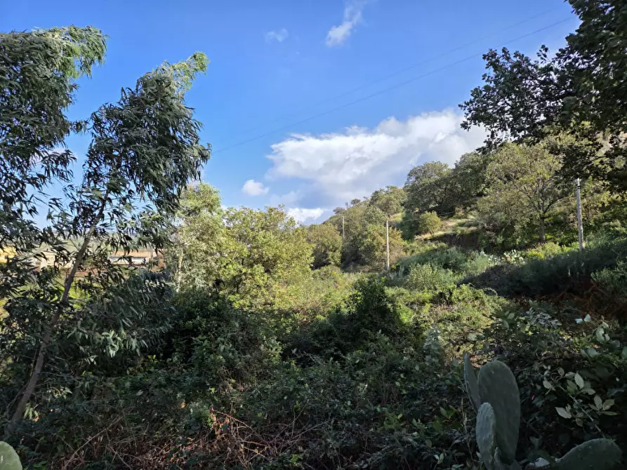 Immagine 4 di Terreno in vendita  in medina a Reggio Di Calabria